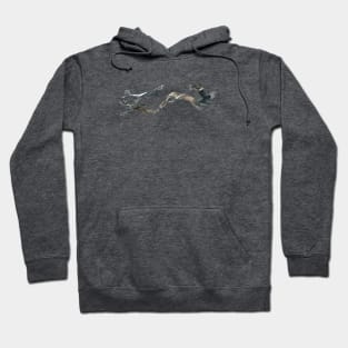 Sandhill Crane Watercolor Hoodie